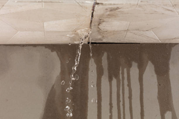 Professional Burst Pipe Cleanup technician working in Coloma, WI